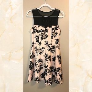 Velvet rose detailed skater dress